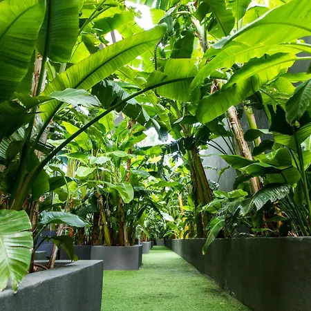 فندق ماكس رويال كيمير ريزورت